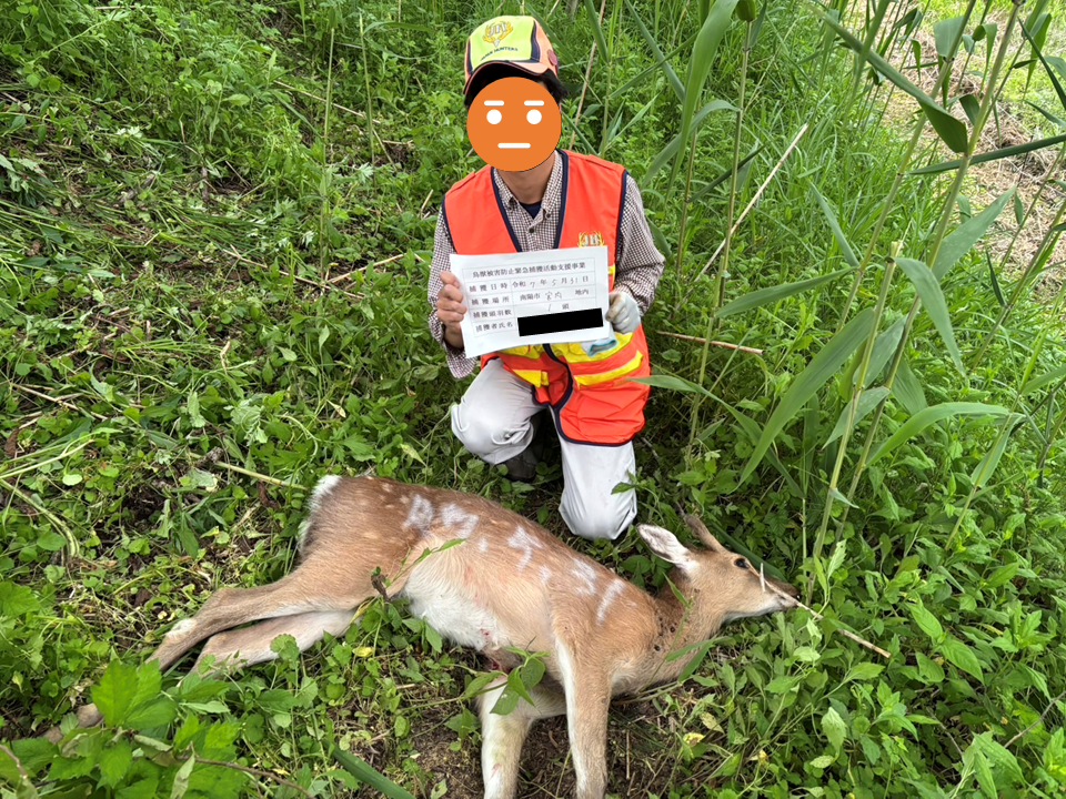 ニホンジカの捕獲